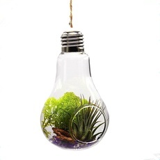 Home Office Wedding Decor Glass Bulb Shape Flower Water Plant Hanging Vase One Hole with Rope