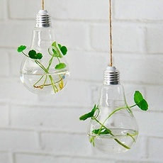 Home Office Wedding Decor Glass Bulb Shape Flower Water Plant Hanging Vase Two-Hole with Rope